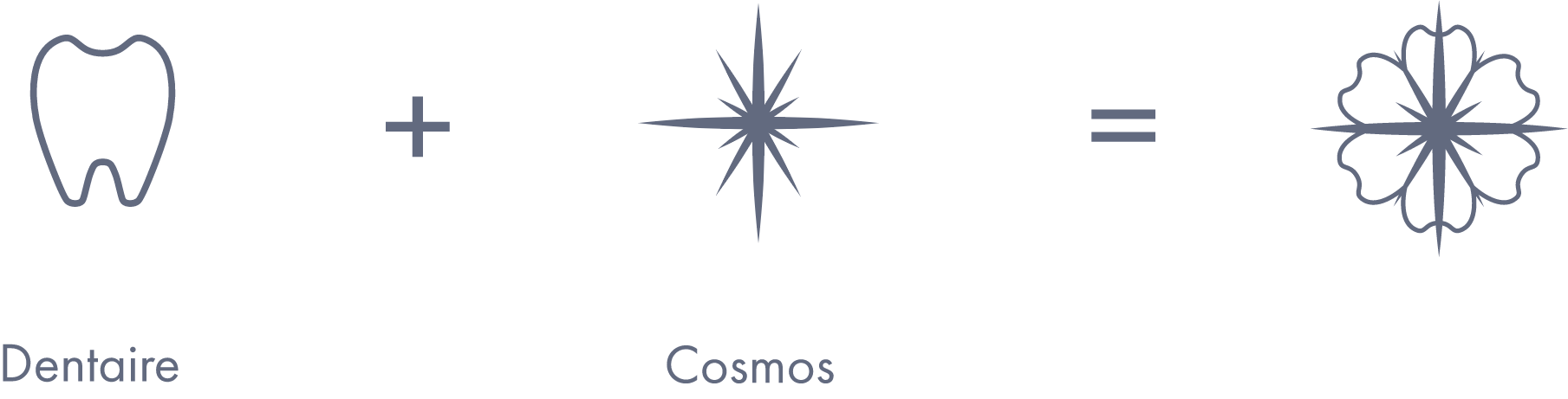 Etape-Construction-Cosmos