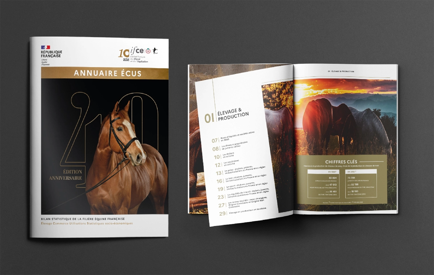 IFCE-presentation_brochure ensemble