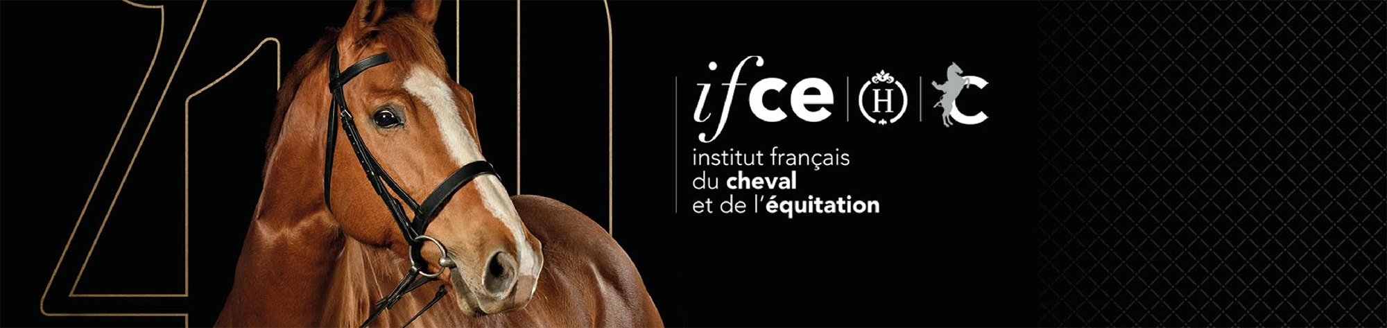 bandeau entete2-IFCE